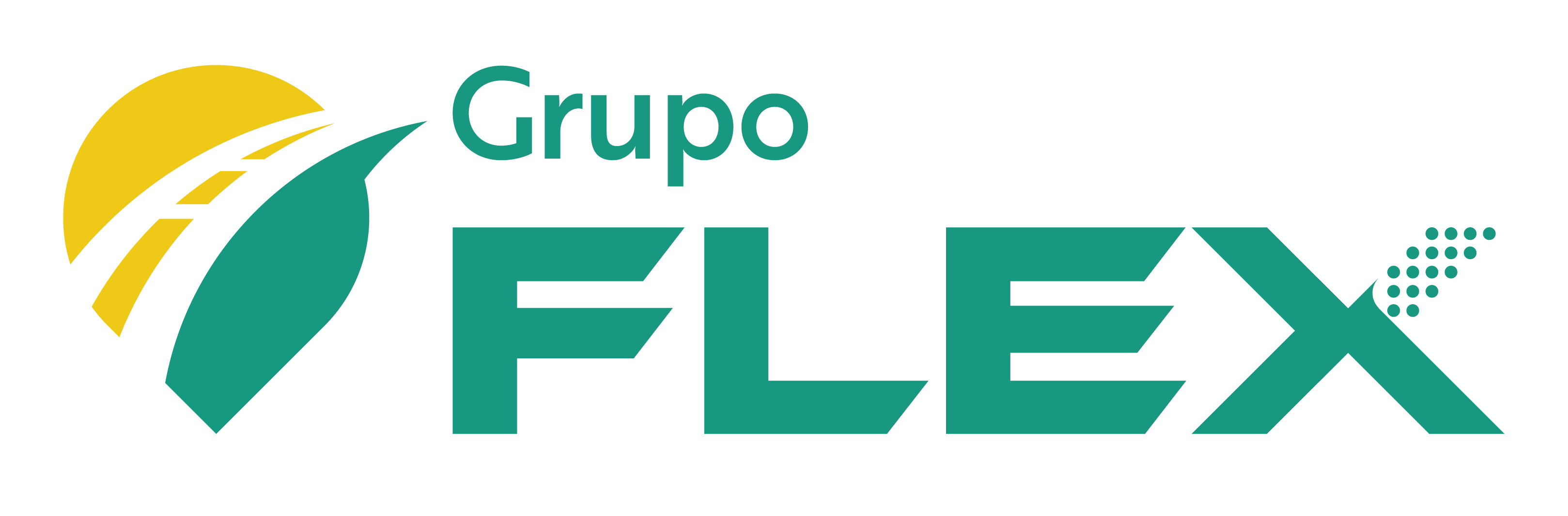 Flex Grupo